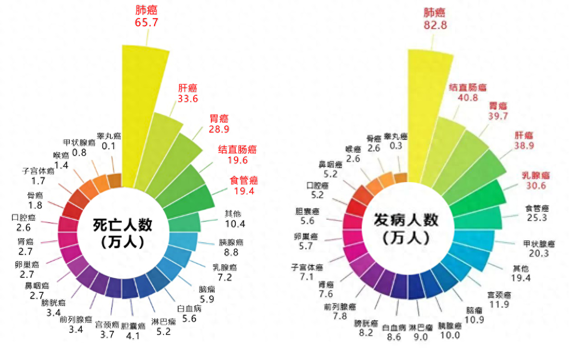 廚房油煙成肺癌隱患?板川“集成灶超跑”帶你抵達無煙廚房新境界 廚房油煙成肺癌隱患?板川“集成灶超跑”帶你抵達無煙廚房新境界