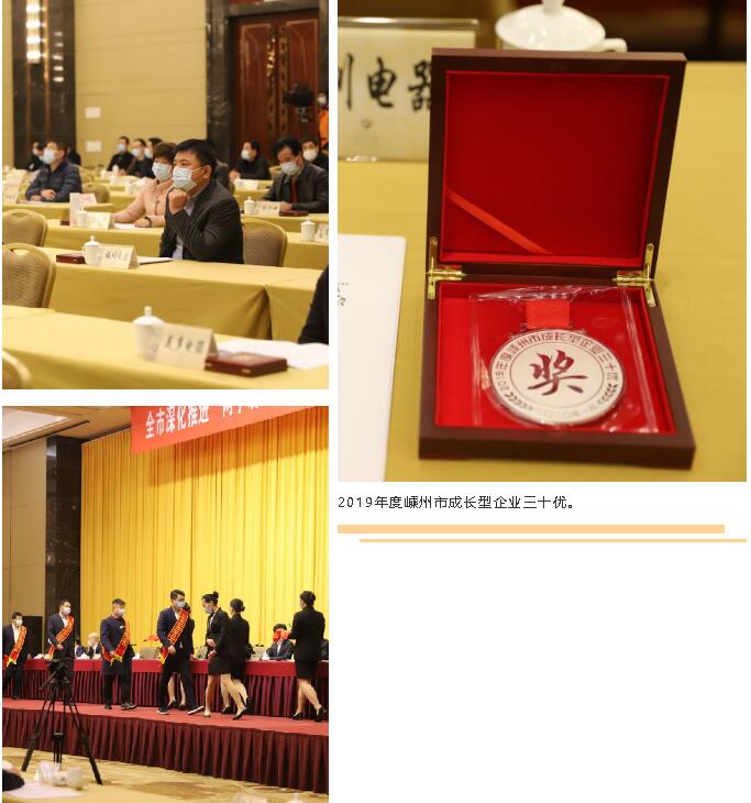 重磅！板川電器榮獲2019年度企業(yè)“三十優(yōu)”！